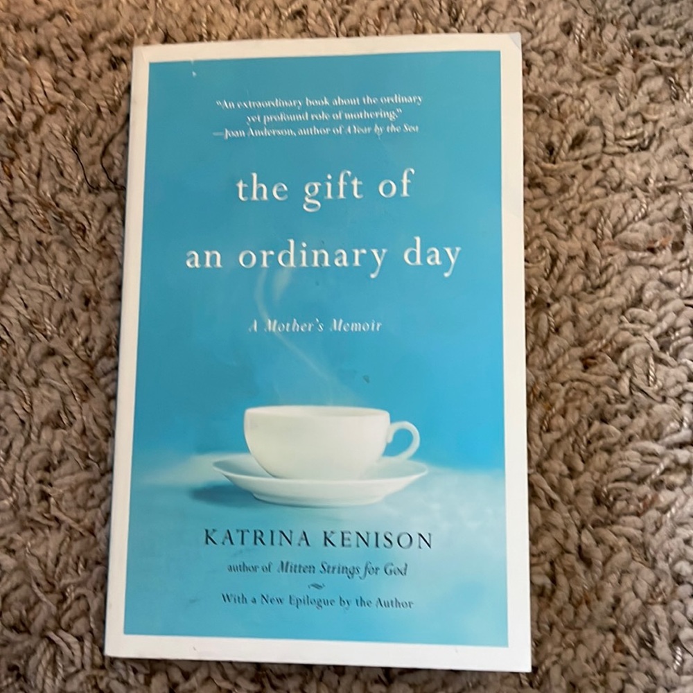 🔥 The Gift of an Ordinary Day Paperback Book